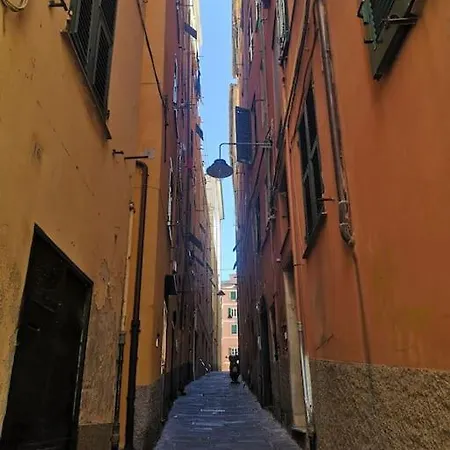 L'antro Delle Sibille Un Nido Di E Intimita